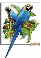Папертоль Тела Артіс Сині папуги РТ150310