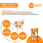 Премікс універсальний для м'ясних перепелів AVA Chick MIX 5%. Фасовка 25 кг., фото 4