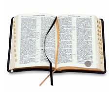Біблія шкіряна переклад Огієнко шкірзам Біблія великого формату 17*24 см з пошуковими індексами, фото 2