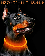 Ошейник для собак Led светящийся цвет Оранжевый размер 70 см