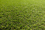 Штучна трава Turfgrass Alvira 27 мм - ширина 2 і 4 метри /безкоштовна доставка/, фото 4