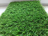 Штучна трава Turfgrass Yadira 32 мм - ширина 2 і 4 метри /безкоштовна доставка/, фото 9
