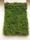 Штучна трава Turfgrass Yacina 40 мм - ширина 1 і 2 і 3 і 4 метри /безкоштовна доставка/ - єВідновлення, фото 6