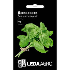 Насіння базиліка Дженовезе , 0,5 м — зелений, салатовий, LEDAAGRO