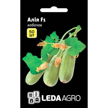 Насіння кабачка Алія F1, 50 насіння — ранній гібрид, світлий LEDAAGRO, фото 1