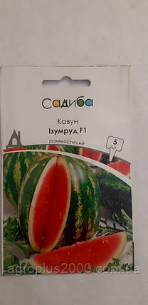 Насіння Кавун Смарагд F1, 5 насіння Satimex Садиба Центр, фото 1