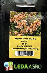 Насіння Лімоніум (кермек) Кіс Апрікот 50шт ТМ LEDAAGRO