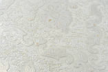 Шпалери вінілові спінені на флізеліновій основі Vinil Клейн ДХС-1413/1 молочно-золотисто-перлинний 10,05 x 1,06 м, фото 2