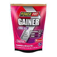 Гейнер высокобелковый Gainer (2 kg, irish cream), Power Pro 18+