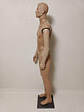 Манекен чоловічий тілесний у повний ріст сбірний на ПВХ підставці, фото 7