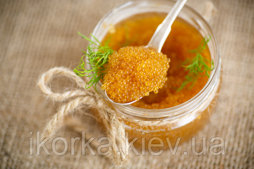 купити ікру щуки заморозку, ікра щуки ціна в Києві