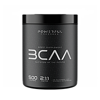 BCAA 2:1:1 Amino Powerful Progress 500 г Кавун