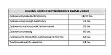 Зимовий комбінезон трансформер Блиск ТЗ 1706 На овчині, фото 3