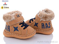 Детская обувь оптом. Детские зимние пинетки 2023 бренда Clibee - Doremi для мальчиков (рр. с 18 по 21)