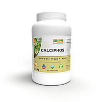 Добриво Грогрін Гель Calciphos NPK 9-64-0 +11CaO+1MgO+B+ZN 5кг