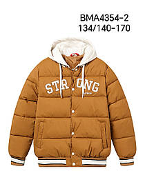 Куртка демісезонна для хлопчиків оптом, Glo-story, 134/140-170 рр.,  арт. BMA-4323