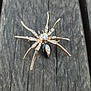 Брошка павук, фото 2