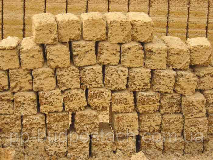 Ракушняк у Полтаві, фото 1