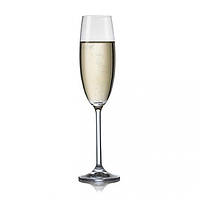 Набір келихів для шампанського Bohemia Maxima 40445-220 220 мл 6 шт l