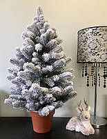 Ялинка 90 см лита в горщику засніжена HVOYA