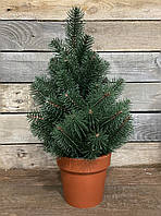 Ялинка 50 см лита в горщику зелена HVOYA