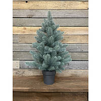 Ялинка 70 см лита в горщику блакитна HVOYA