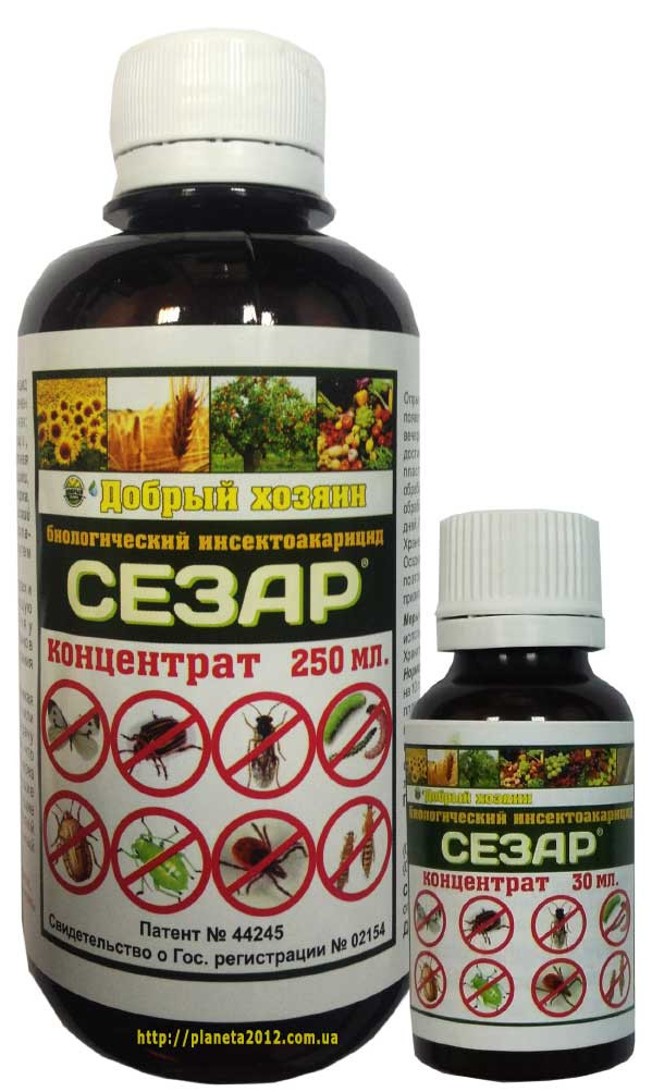 Сезар 250 мл., фото 1