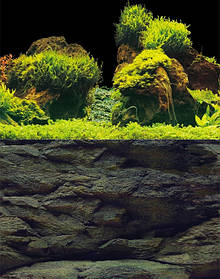 Тло двостороннє щільне, Aqua Nova, Rock/Plants, 60х150 см.