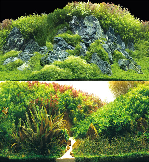 Тло двостороннє щільне, Hobby, Planted River/Green Rocks, 50х100 см.