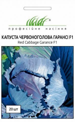 Капуста краснокачана Гаранси F1 семена позднего высокоурожайного гибрида капусты для хранения - фото 1 - id-p348833010