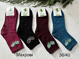 Жіночі махрові шкарпетки, Україна