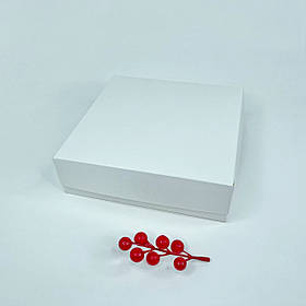 Коробка для зефіру, 200*200*60 мм, без вікна, біла