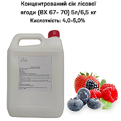 Концентрований сік лісової ягоди (65-67 ВХ) каністра 5л/6,5 кг