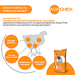 Премікс універсальний для бройлерів AVA Chick MIX 5%. Фасовка 25 кг., фото 3