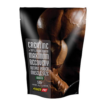 Creatine Maximum Recovery with flavour (500 g)