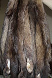 Хутро шкіри соболю Камчатка/Сахалін із вичинкою виділені, З СЕДИНОЮ, довжина 40-45 см. Ціна 300 дол., фото 3