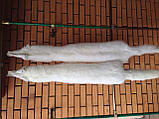 Хутро шкурки фінської білого песця альбіноса, корисна довжина 80-85 см, фото 2