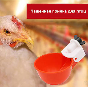 Автоматична чашкова Big-поїльник для всіх видів свійської птиці. Підвісна поїлка забезпечує доступ води, фото 3