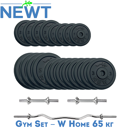 Набір штанга гантелі комплект набірний гантелі штанга металеві для дому Newt Gym Set-W Home 65 кг, фото 1