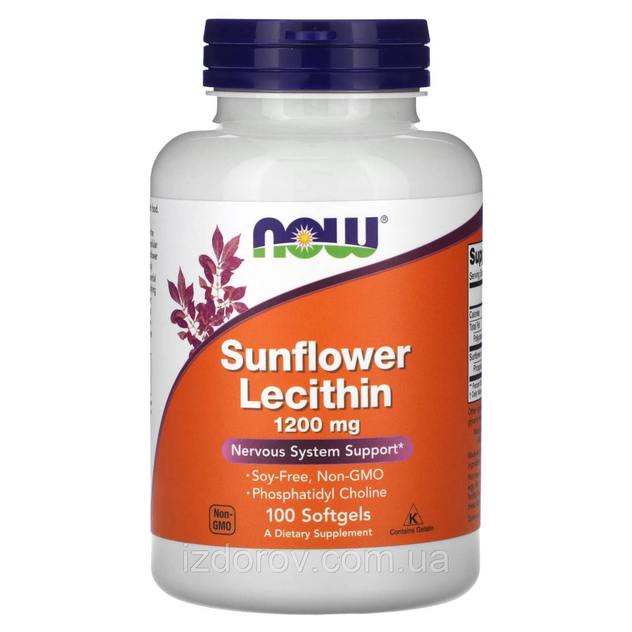 Now Foods, Соняшниковий лецитин 1200 мг, Sunflower Lecithin, 100 капсул