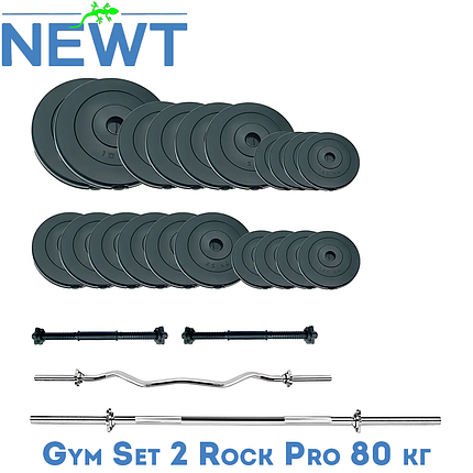 Набір штанги гантелі комплект набірний гантелі штанги композитні для дому Newt Gym Set 2 Rock Pro 80 кг, фото 1