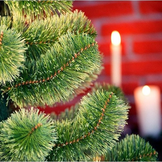 Сосна зелёная 180 метр искусственная пышная елка, классическая Праздничная новогодняя елка в дом - фото 3 - id-p1981893940