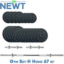 Набір штанга гантелі комплект набірний гантелі штанга металеві для дому Newt Gym Set-H Home 67 кг