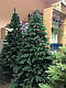 Висока елітна штучна лита ялинка 4 м преміумкласу Poeal No 18, Святкова новорічна ялинка, фото 4