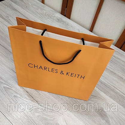 Подарунковий пакет Charles&Keith медіум, фото 4