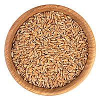 Пшениця яра 500 г