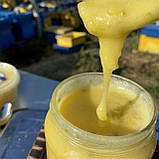 Крем мед  КУМКВАТ (цитрус) 0,72 л (900 грам), фото 2