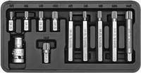 Набор отверточных насадок YATO Spline M5-M12 с переходником 1/2" 11 шт. YT-0415