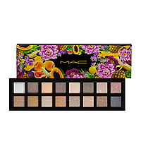 Палетка теней для век M·A·C EYE SHADOW 16 оттенков