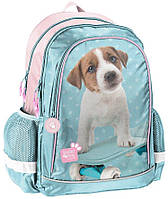 Школьный рюкзак для девочки с милым щенком Paso AmmuNation